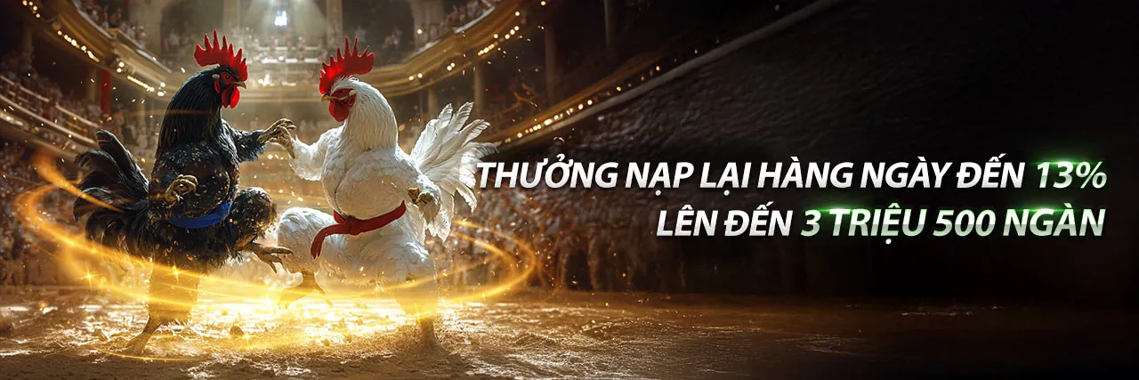 Sân vận động đầy ắp khán giả với ánh đèn rực rỡ, biểu tượng cho cá cược thể thao Betvisa